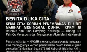 WhatsApp Image 2025-12-21 at 214525