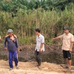 Tanaman Warga Dirusak, Warga Dusun VIII Pisang Binaya Desak Mediasi dengan PT Padasa Enam Utama