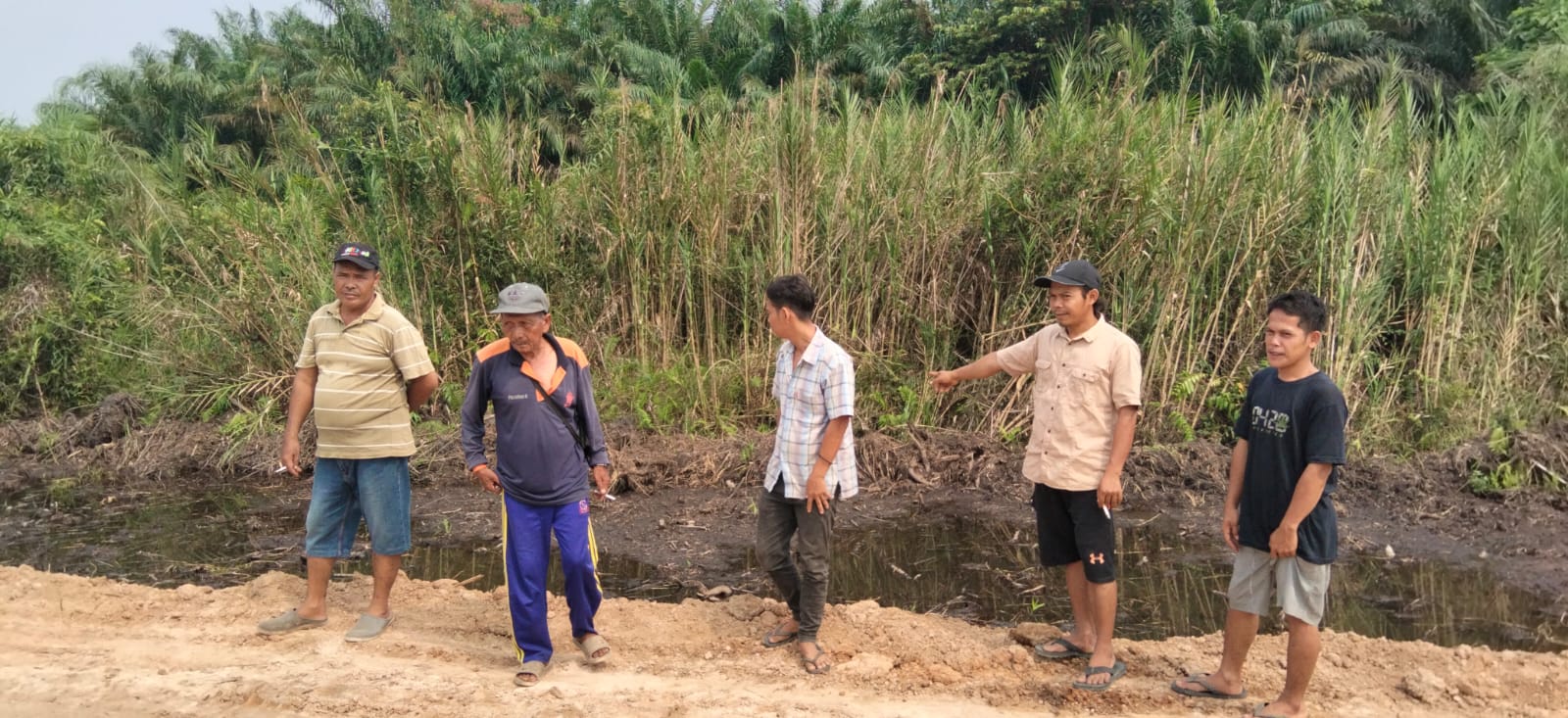 Tanaman Warga Dirusak, Warga Dusun VIII Pisang Binaya Desak Mediasi dengan PT Padasa Enam Utama