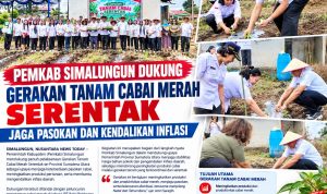 IMG-20261021-WA0051 Jaga Pasokan dan Stabilitas Harga, Pemkab Simalungun Ikuti Gerakan Tanam Cabai Merah Serentak